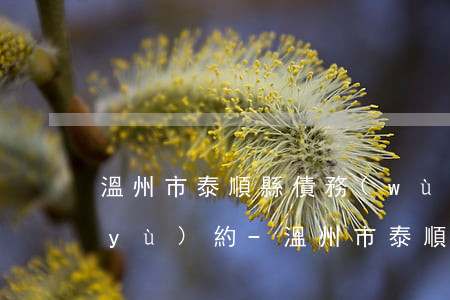 溫州市泰順縣債務(wù)案辦理律師預(yù)約-溫州市泰順縣債務(wù)案辦理律師預(yù)約電話(huà)