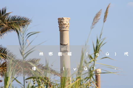 溫州市鹿城區(qū)代理債務(wù)案律師預(yù)約-溫州市鹿城區(qū)代理債務(wù)案律師預(yù)約電話