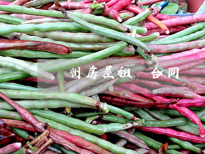 溫州房屋租賃合同
