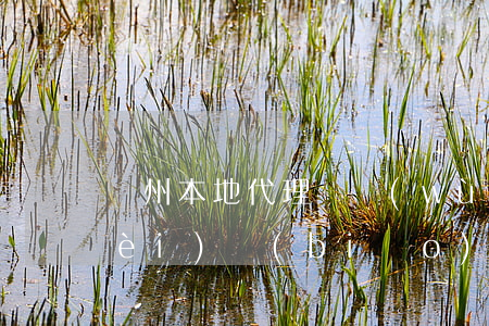 溫州本地代理債務(wù)案律師收費(fèi)標(biāo)準(zhǔn)-溫州本地代理債務(wù)案律師收費(fèi)標(biāo)準(zhǔn)是多少