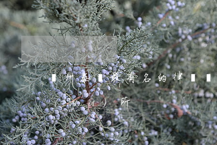 溫州泰順最有名的律師(溫州有名的律師事務(wù)所)