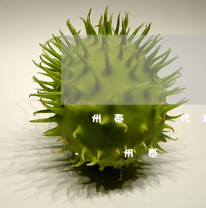 溫州泰順縣代理債務(wù)案律師多少錢-溫州泰順縣代理債務(wù)案律師多少錢一次