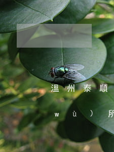 溫州泰順縣債務(wù)案辦理律師事務(wù)所-溫州泰順縣債務(wù)案辦理律師事務(wù)所電話