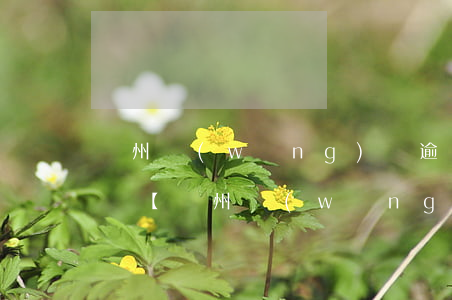 溫州網(wǎng)貸逾期處理免費咨詢電話，【溫州網(wǎng)貸逾期處理】免費咨詢電話，專業(yè)解答您的疑問！