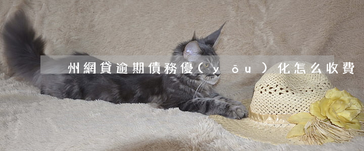 溫州網貸逾期債務優(yōu)化怎么收費