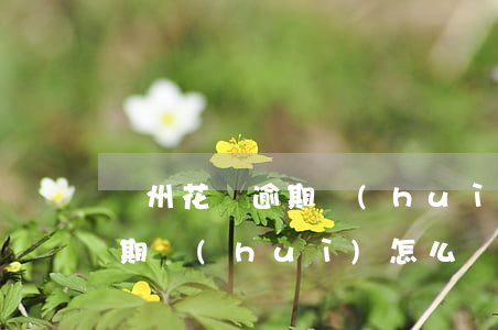 溫州花唄逾期會(huì)怎樣(如果花唄逾期會(huì)怎么樣)