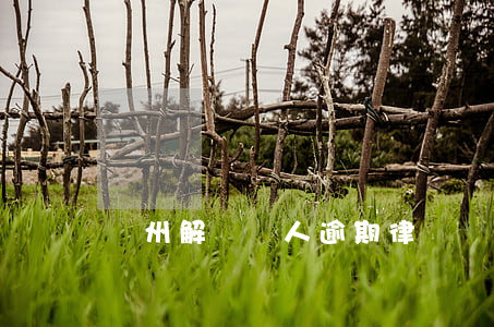 溫州解決個人逾期律師問答知識