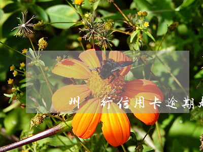 溫州銀行信用卡逾期超90天