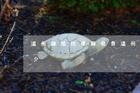 溫州離婚找律師收費(溫州律師電話號碼是多少)