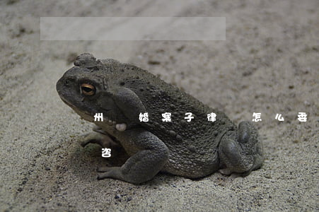溫州離婚案子律師怎么委托(溫州經濟糾紛律師咨詢)