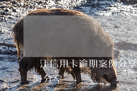 溫江信用卡逾期案例分享(溫江信用卡逾期案例分享)