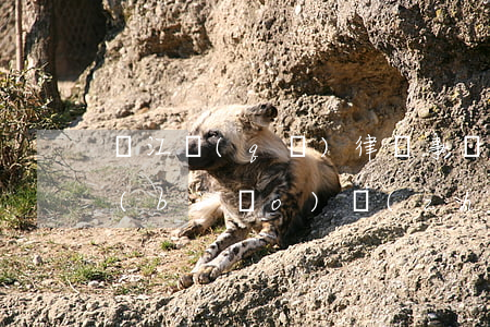 溫江區(qū)律師事務(wù)所收費標(biāo)準(zhǔn)(溫江律師電話號碼)