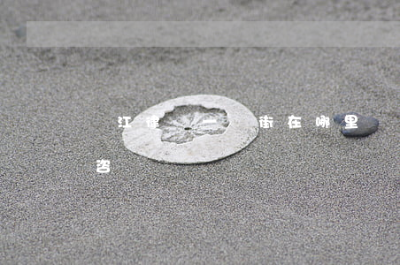 溫江律師一條街在哪里(溫江區(qū)律師咨詢)