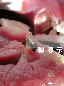 溫馨提示逾期還款用戶(溫馨提示逾期還款用戶)