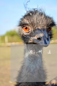 滁州法律援助(滁州法律援助)