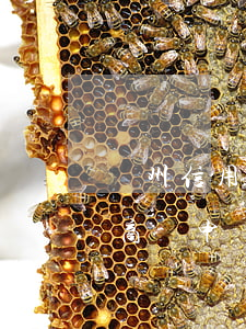 滄州信用卡逾期停息分期怎么協(xié)商-申請(qǐng)停息分期后信用卡還可以用嗎