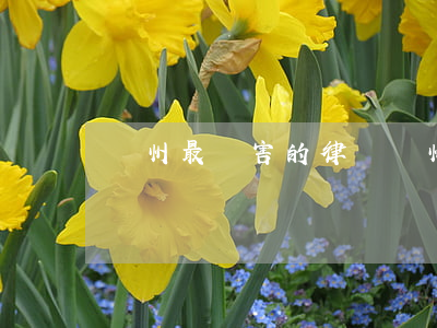 滄州最厲害的律師(滄州刑事律師排名)