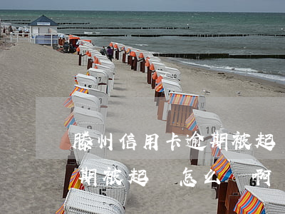 滕州信用卡逾期被起訴怎么辦(滕州信用卡逾期被起訴怎么辦啊)