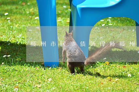 滕州市民事债务律师(滕州免费律师咨询电话)