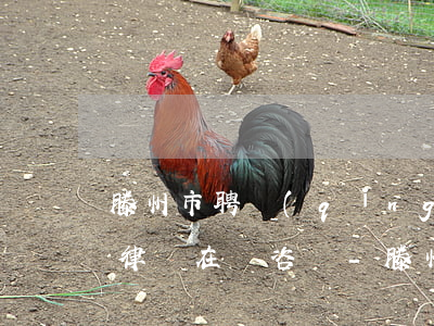 滕州市聘請(qǐng)民事債務(wù)律師在線咨詢-滕州市聘請(qǐng)民事債務(wù)律師在線咨詢電話