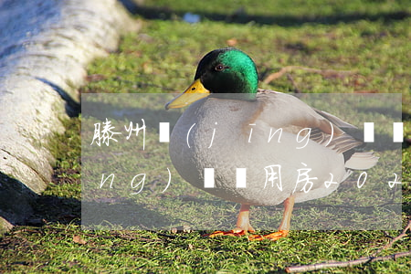 滕州經(jīng)濟適用房(滕州經(jīng)濟適用房2020)