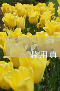 滥用真人表情包恐侵权 这样使用才合法