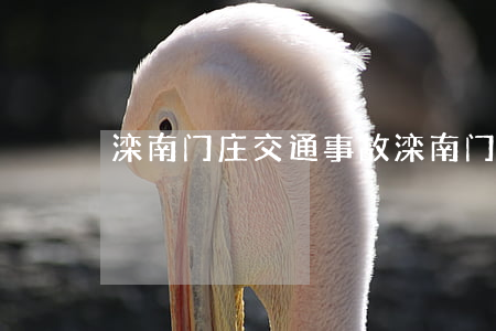 滦南门庄交通事故(滦南门庄交通事故)