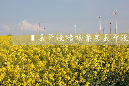 滦县开设赌场案(房县开设赌场)