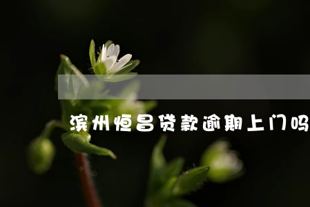 滨州恒昌贷款逾期上门吗(滨州恒昌信贷公司)