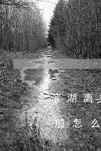 滨湖离婚诉讼律师收费(合肥离婚律师费用一般怎么收费)