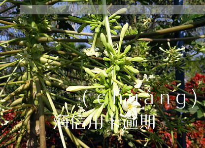 滬創(chuàng)信用卡逾期怎么辦(上海信用卡逾期)