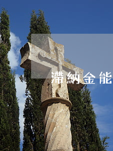 滯納金能否減免(滯納金可以消除嗎)