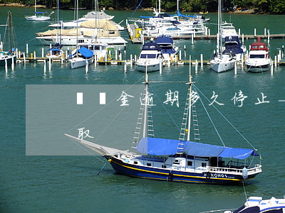 滯納金逾期多久停止-滯納金逾期后怎么收取