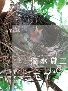 滴水貸三萬逾期一年 滴水貸逾期一次再也借不了