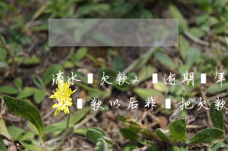 滴水貸欠款2萬逾期兩年會起訴嗎 滴水貸逾期還款以后非讓把欠款全部還清正常嗎