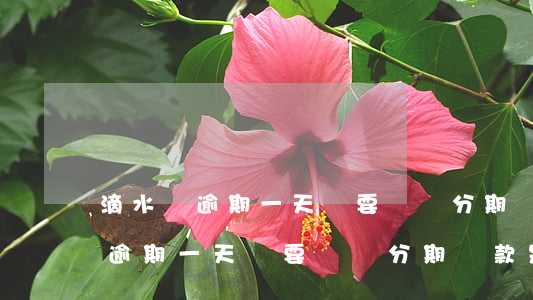 滴水貸逾期一天說要關閉分期還款-滴水貸逾期一天說要關閉分期還款是真的嗎