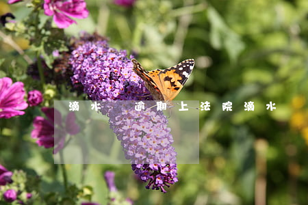 滴水貸逾期上法院 滴水貸起訴了