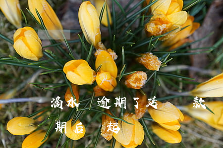滴水貸逾期了延遲還款會被起訴嗎(滴水貸逾期后會起訴嗎)