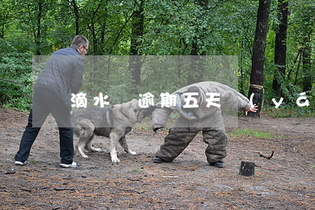 滴水貸逾期五天嚴(yán)重嗎