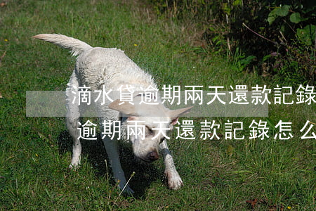 滴水貸逾期兩天還款記錄怎么解決-滴水貸逾期兩天還款記錄怎么解決的