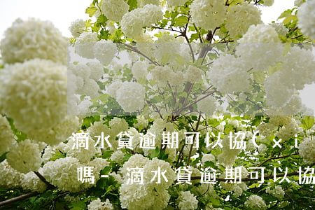 滴水貸逾期可以協(xié)商60期還款嗎-滴水貸逾期可以協(xié)商60期還款嗎