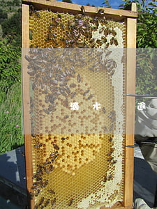 滴水貸逾期后會起訴嗎(滴水貸被起訴)