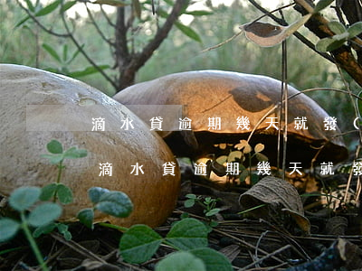 滴水貸逾期幾天就發(fā)短信要起訴-滴水貸逾期幾天就發(fā)短信要起訴是真的嗎
