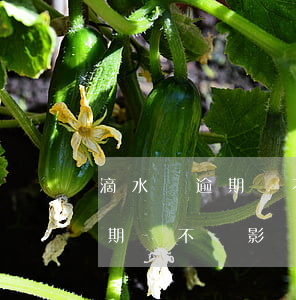 滴水貸逾期會不會影響到信用卡-滴水貸逾期會不會影響到信用卡