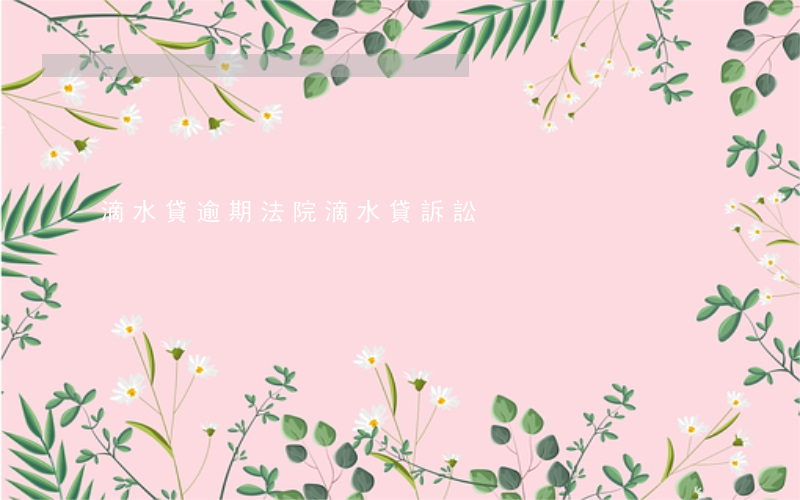 滴水貸逾期法院(滴水貸訴訟)