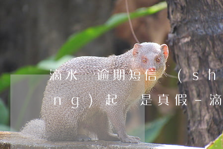 滴水貸逾期短信說(shuō)已經(jīng)起訴是真假-滴水貸逾期短信說(shuō)已經(jīng)起訴是真假的嗎