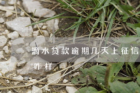 滴水贷款逾期几天上征信(滴水贷逾期一天会咋样)