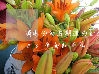 滴水贷的逾期违约金是多少 滴水贷款逾期700多会起诉吗