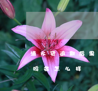 滴水贷逾期后果严重吗(滴水贷逾期后果严重吗会怎么样)