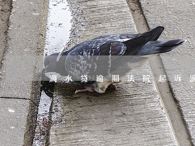 滴水贷逾期法院起诉(滴水贷被起诉)